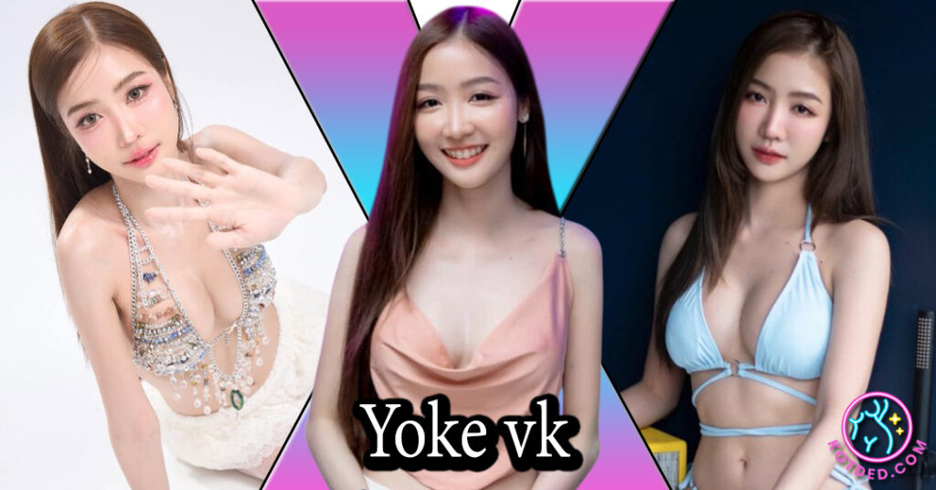 Yoke vk
