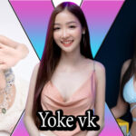 Yoke vk