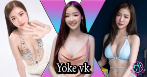 Yoke vk